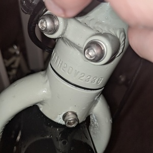 2020 Rad Power Bikes RadMission 1 Silver, gray or bare metal, Green, and Black