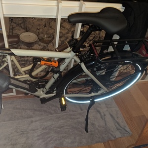 2020 Rad Power Bikes RadMission 1 Silver, gray or bare metal, Green, and Black