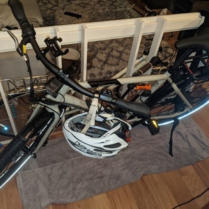 2020 Rad Power Bikes RadMission 1 Silver, gray or bare metal, Green, and Black