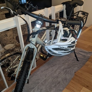 2020 Rad Power Bikes RadMission 1 Silver, gray or bare metal, Green, and Black