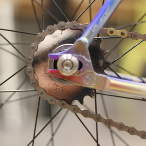 2020 Squid MSo-ez Blue, Purple, and Silver, gray or bare metal