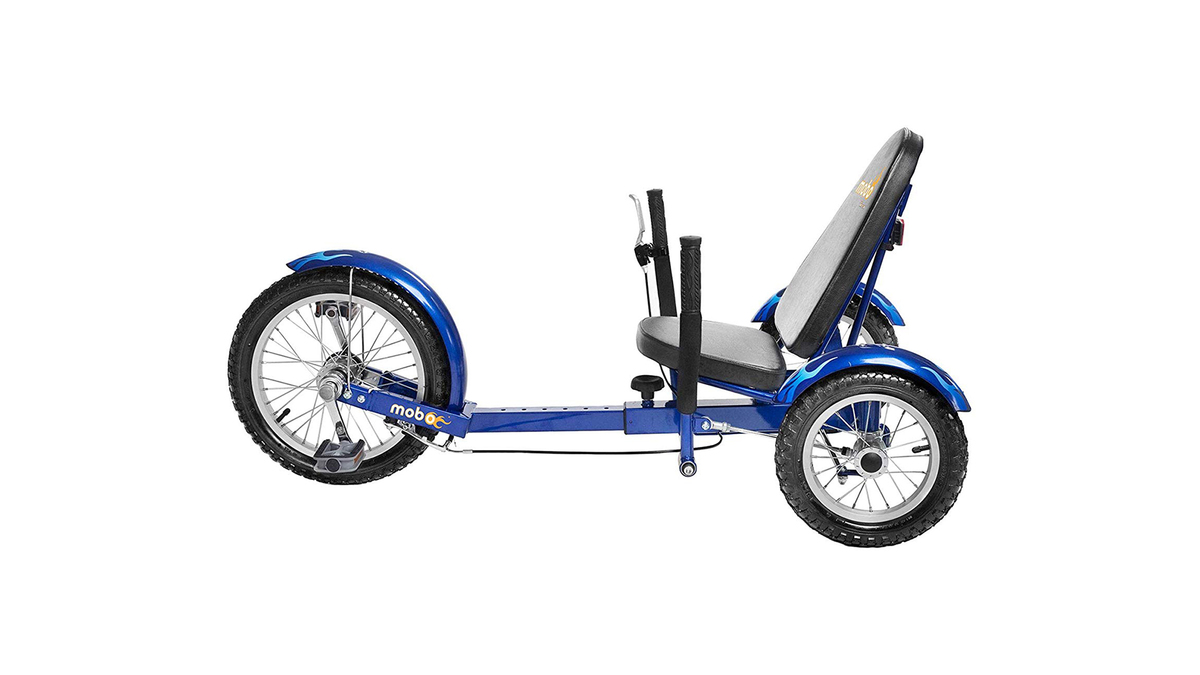 Recumbent photo