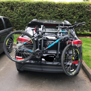 2019 GT Bicycles Mountain bike XL mens Black, Blue, and Yellow or Gold