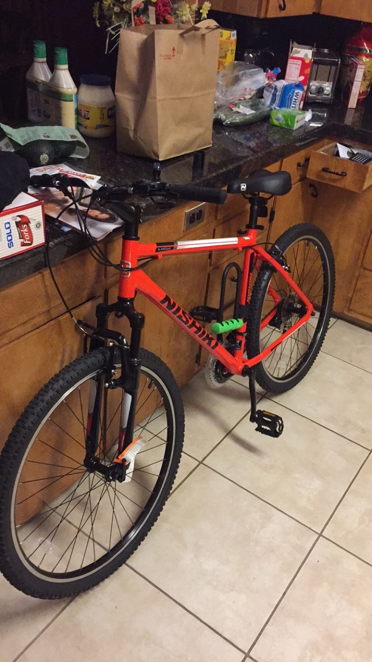 2015 Nishiki alamosa