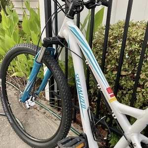 2011 Specialized Myka HT Disc White