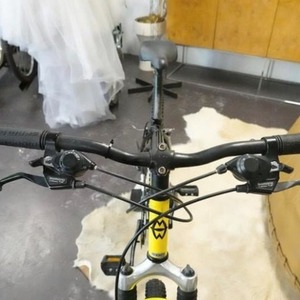 Gary Fisher Mamba Yellow or Gold and Black