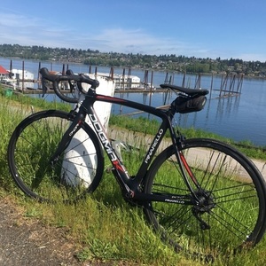 2015 Pinarello Black