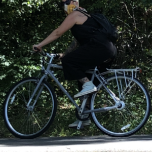 2018 Brilliant Bicycle Silver, gray or bare metal
