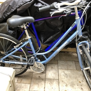 2020 Retrospec Barron Blue