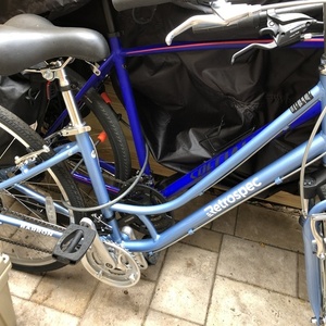 2020 Retrospec Barron Blue