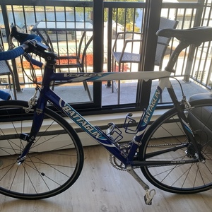 2000 Battaglin Vortex Blue