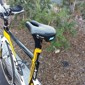 2011 Blue Triad EX Black, White, and Yellow or Gold