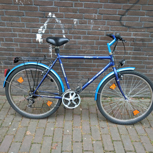 Ranger City bike Blue