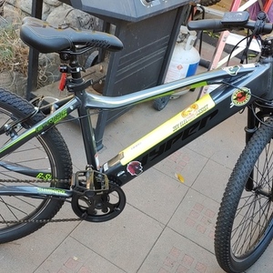 2020 Hyper E-Ride Mountain Bike Silver, gray or bare metal and Green