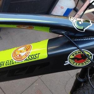 2020 Hyper E-Ride Mountain Bike Silver, gray or bare metal and Green