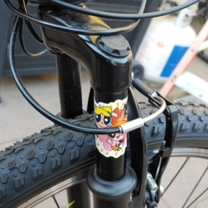 2020 Hyper E-Ride Mountain Bike Silver, gray or bare metal and Green