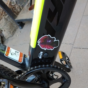 2020 Hyper E-Ride Mountain Bike Silver, gray or bare metal and Green