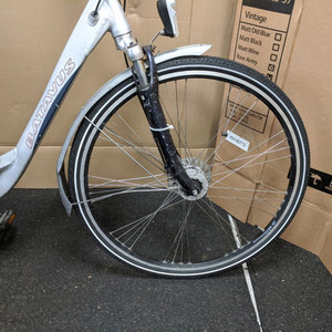 Batavus Weekend Silver, gray or bare metal