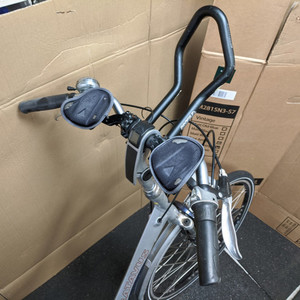 Batavus Weekend Silver, gray or bare metal