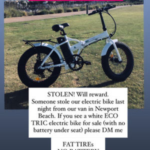 2020 Eco Tric Ecotric White Fat Tire Portable and F... White
