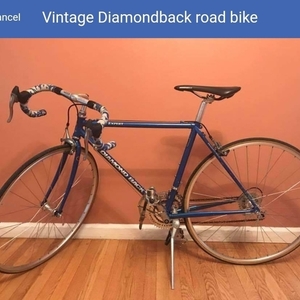 Diamondback Blue