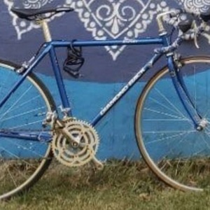Diamondback Blue
