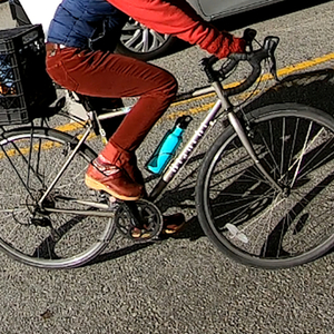2015 Bianchi Lupo Silver, gray or bare metal