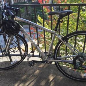 2015 Fuji LTE 3.0 Absolute Silver or Gray