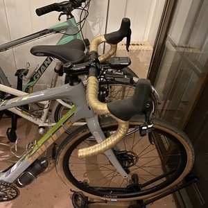 2019 Giant Revolt Advanced Silver, gray or bare metal