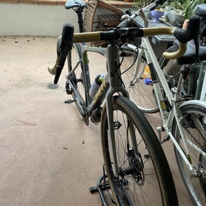 2019 Giant Revolt Advanced Silver, gray or bare metal