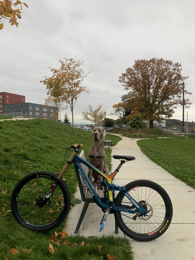 Bike photo