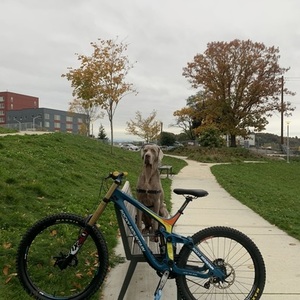 2016 Rocky Mountain Bicycles Maiden