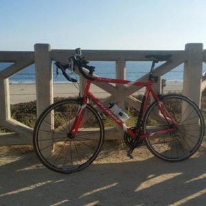 2015 Specialized Allez Elite Red