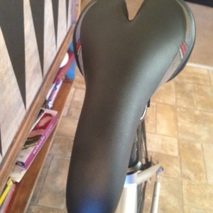 Motobecane Silver or Gray