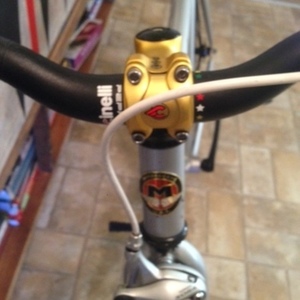 Motobecane Silver or Gray