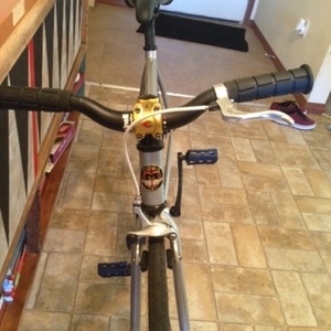 Motobecane Silver or Gray