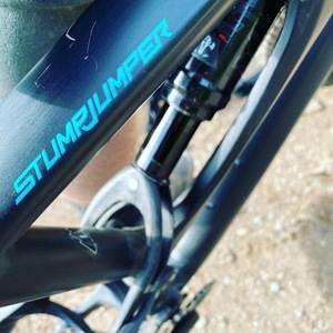2019 Specialized Stumpjumper Black