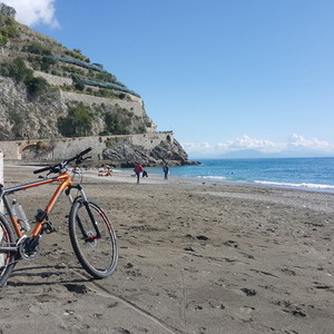 2011 Trek Cobia Orange
