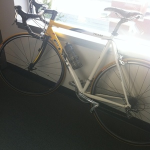 2003 Fuji Team Yellow or Gold, Black, and White
