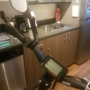 2020 Rad Power Bikes RadMini 4 Black