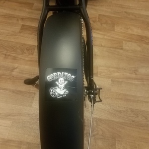 2020 Rad Power Bikes RadMini 4 Black