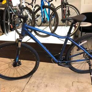 giant rove 1