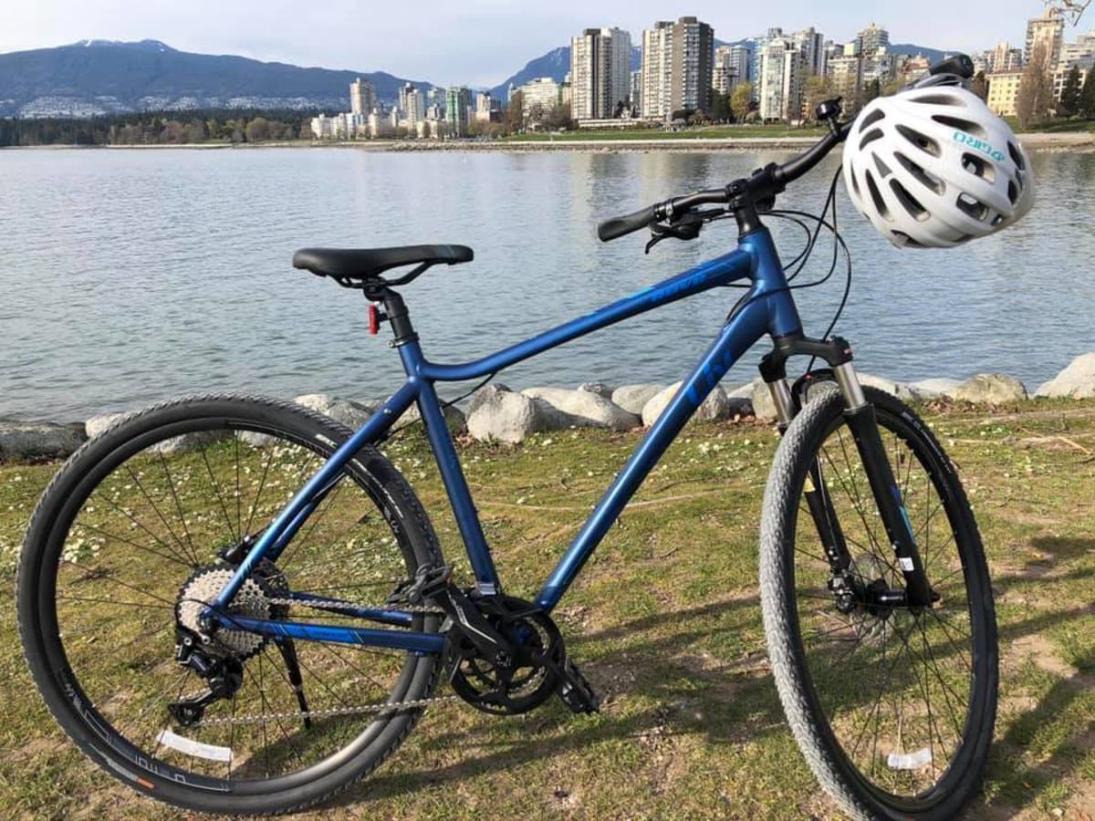 giant rove 1