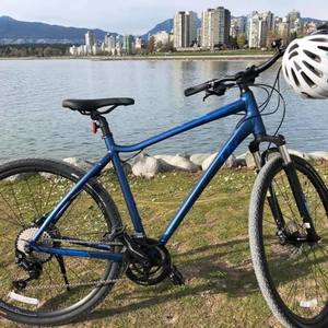 2020 Giant Rove 1 Blue