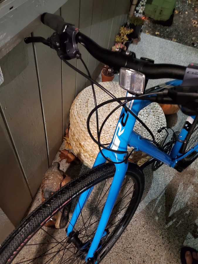 2020 Raleigh CADENT 3