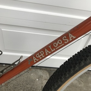 2020 Rivendell Bicycle Works Joe Appaloosa