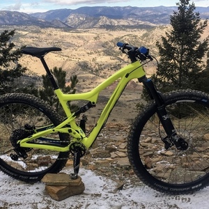 2018 Ibis Ripley Yellow or Gold