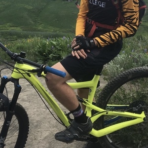 2018 Ibis Ripley Yellow or Gold