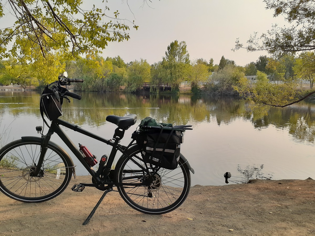 pedego city commuter