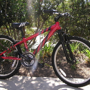 2013 Performance Holeshot Red